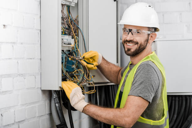 Best Electric Panel Repair  in Williams, AZ